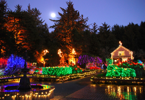 HOLIDAY LIGHTS | Shore Acres State Park