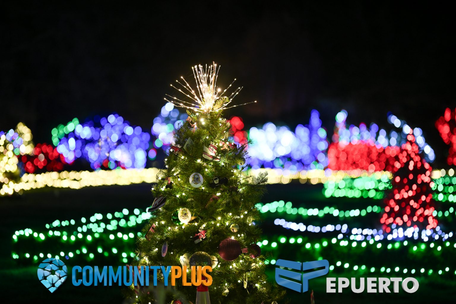 Coos Bay Holiday Lights Shore Acres State Park