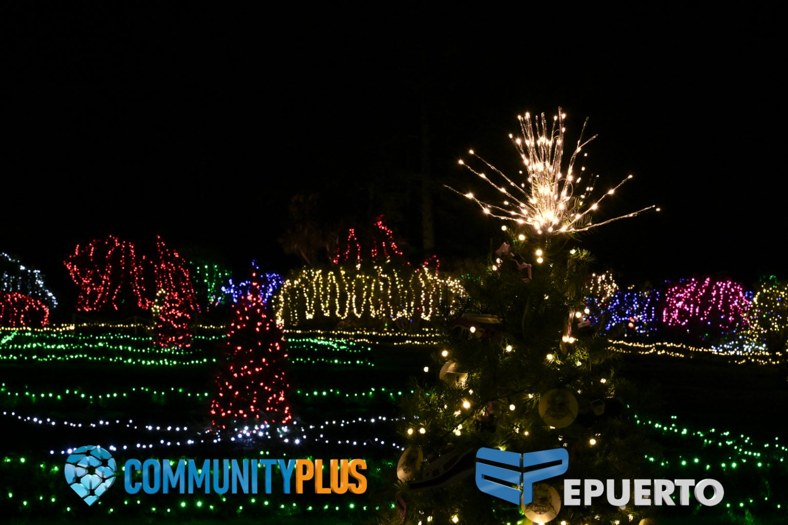 Coos Bay Holiday Lights Shore Acres State Park